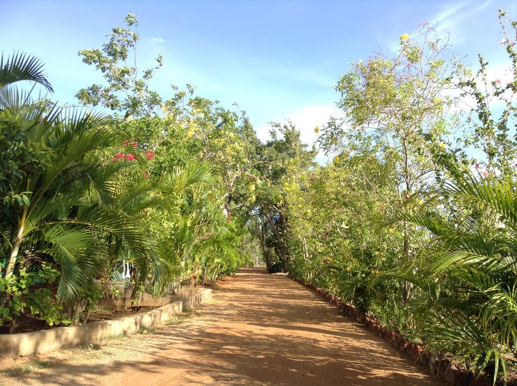 Lagoon Inn Hambantota Eksteriør bilde