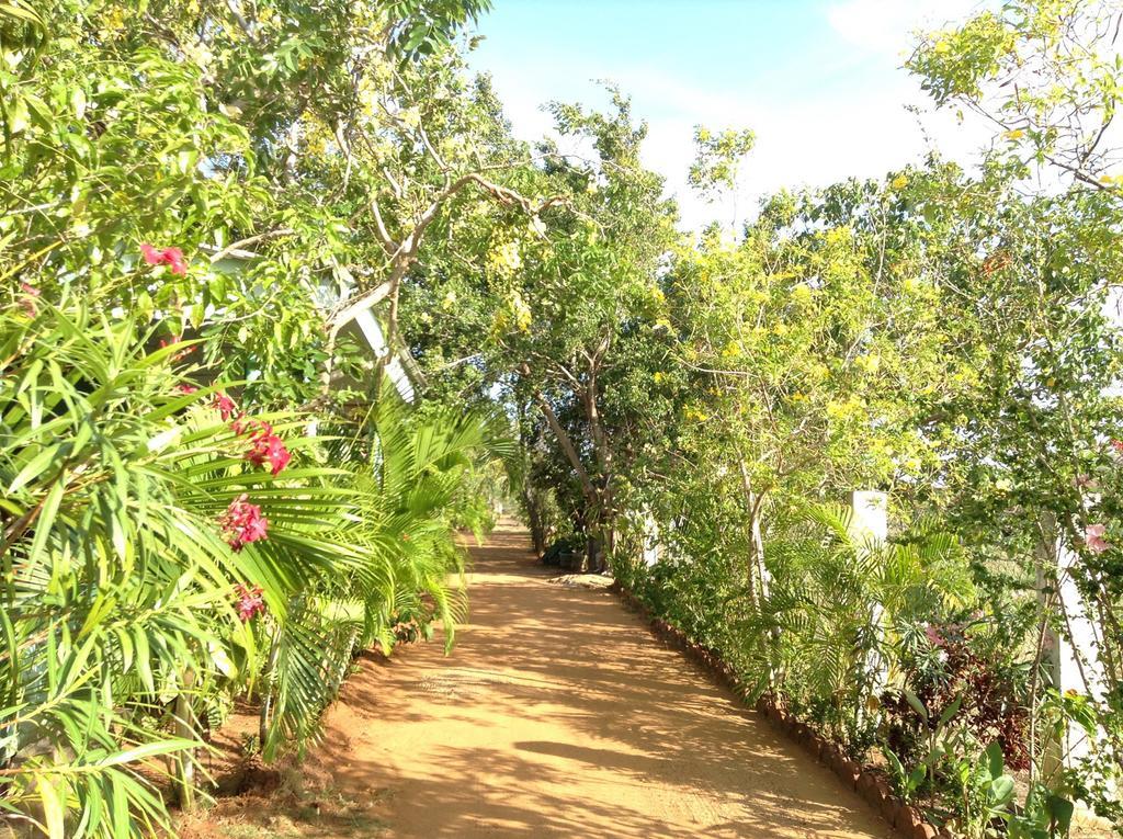Lagoon Inn Hambantota Eksteriør bilde